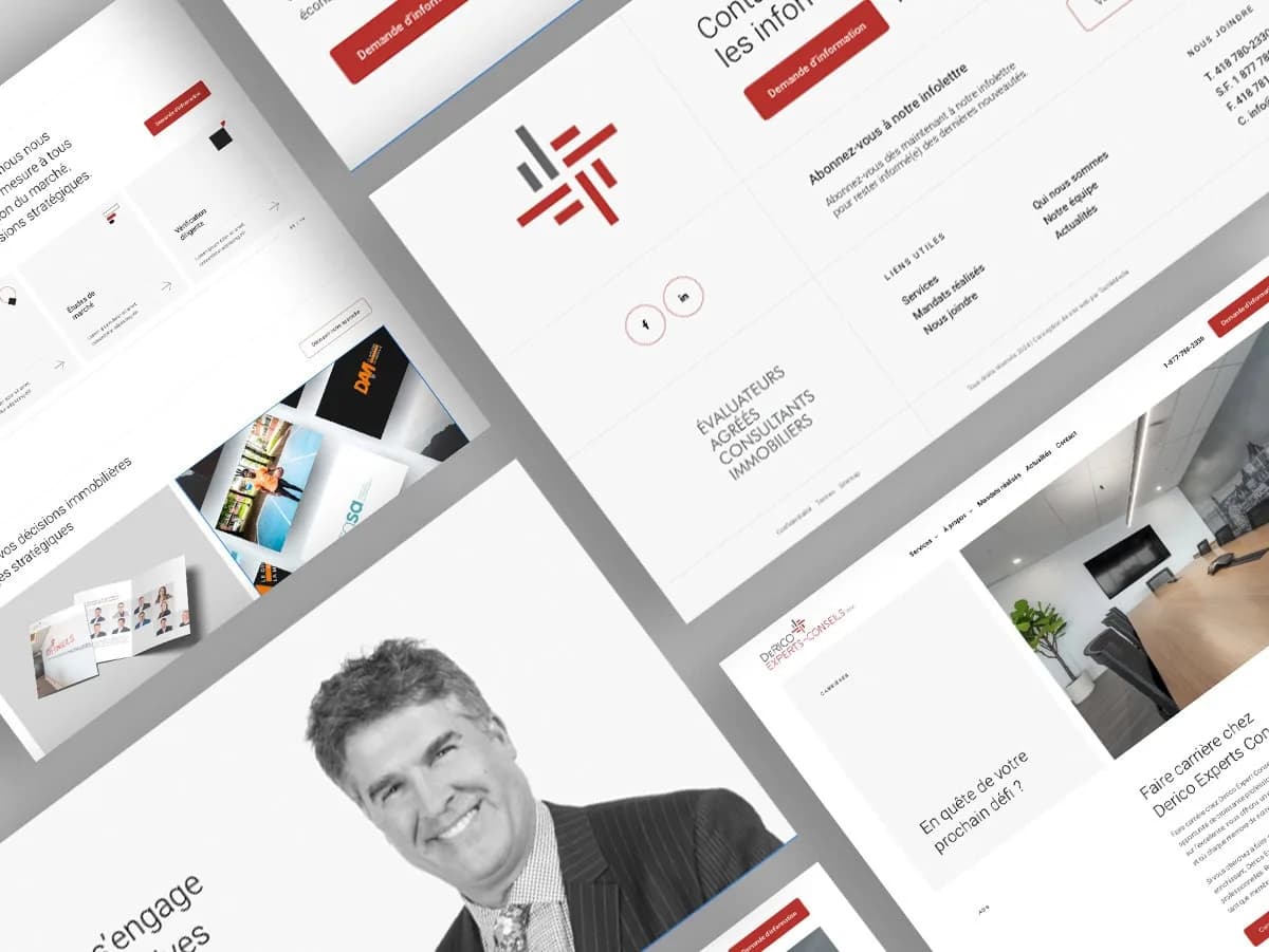 Aperçu 1 du projet DeRico Experts-Conseils