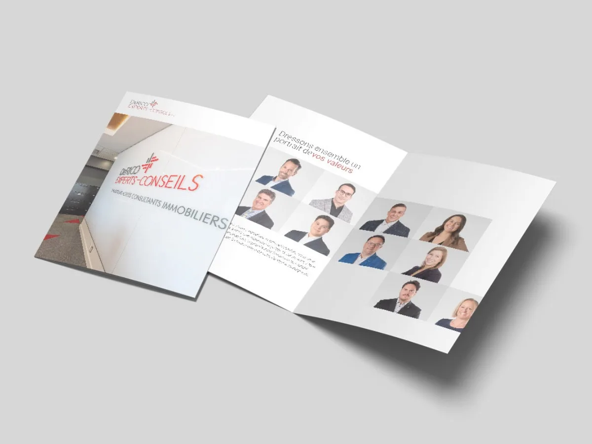 Aperçu 2 du projet DeRico Experts-Conseils
