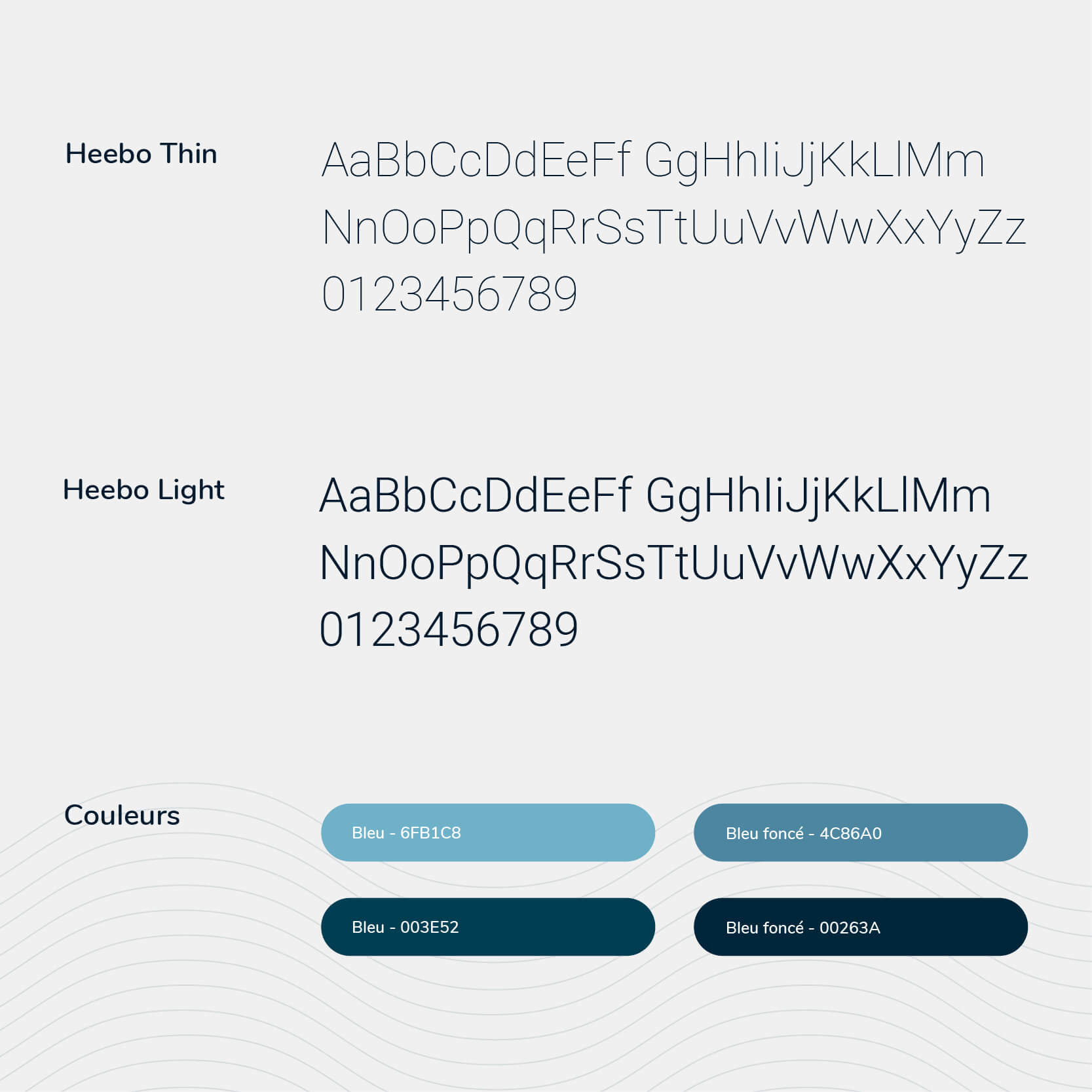 Tactikmedia projet syscomax Section01 typo couleurs